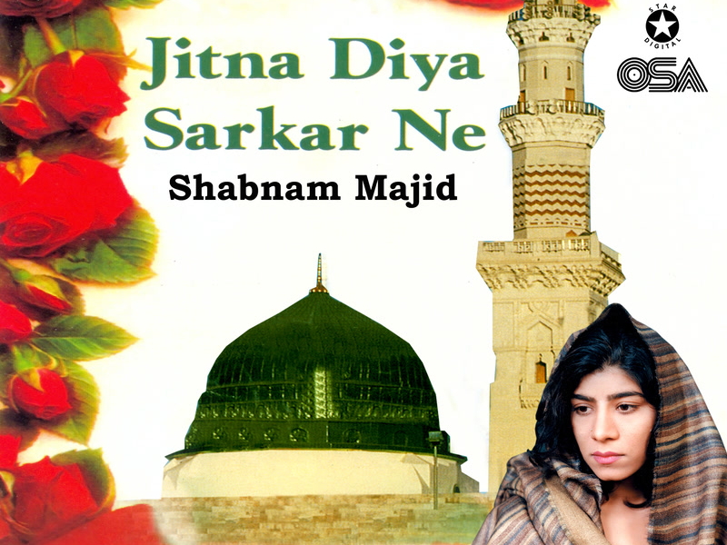 Jitna Diya Sarkar Ne