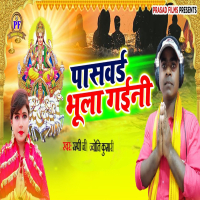 Password Bhula Gaini (Single)