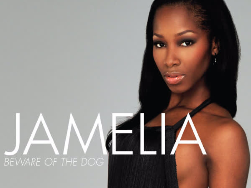 Beware of the Dog (Remixes) (EP)