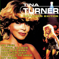 Tina Turner Greatest Hits