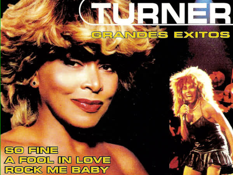 Tina Turner Greatest Hits