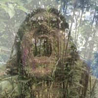 Svensk fantasy (Single)