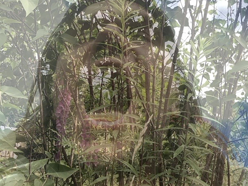 Svensk fantasy (Single)