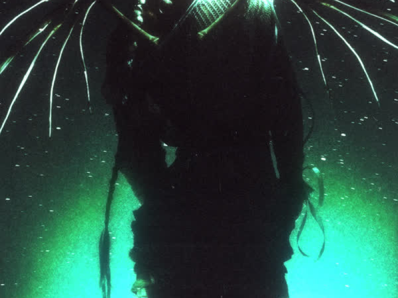 Fallen Angel (feat. Nu-La) (Single)