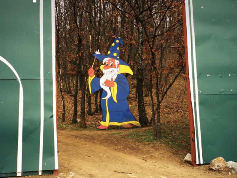 Mushroom Disco (Single)