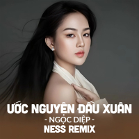 Ước Nguyện Đầu Xuân (Ness Remix) (Single)
