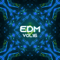 EDM, Vol.16