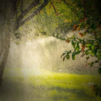 Relieve Stress and Calm the Mind with Soothing Rain and Nature Sounds (Single)