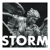 Storm (Paradigm Edit) (Single)