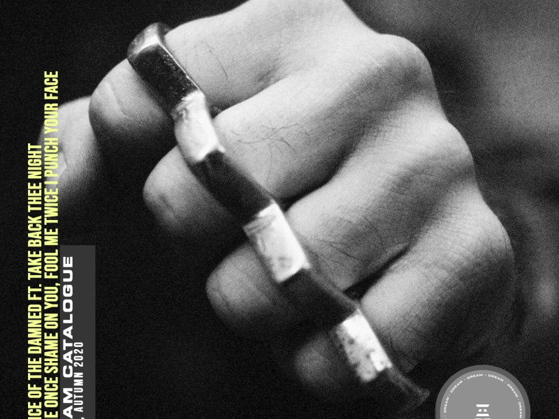 Fool Me Once Shame on You, Fool Me Twice I Punch Your Face (Single)