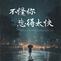 不怪你忘得太快 (Single)