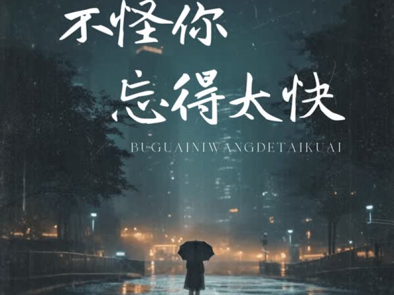 不怪你忘得太快 (Single)