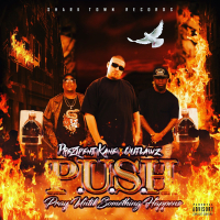 P.U.S.H. Pray Until Something Happens (Single)