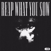 reap what you sow (Single)