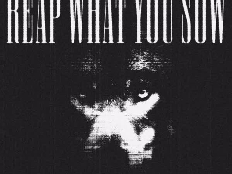 reap what you sow (Single)