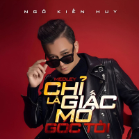 Liên Khúc: Chỉ Là Giấc Mơ - Góc Tối (From “Hòa Âm Ánh Sáng” 2016) (Single)