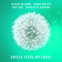 Chills (Feel My Love) (Single)