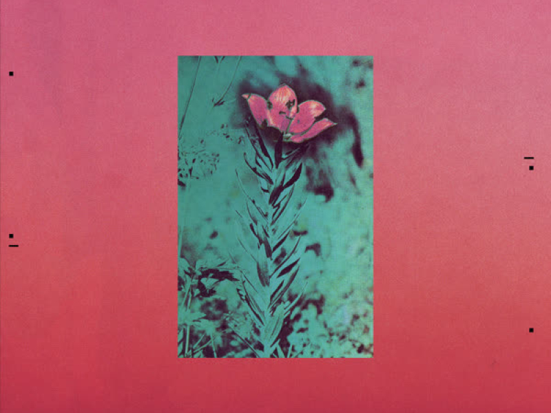 The First Tree (Single)