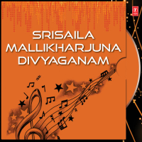 Srisaila Mallikharjuna Divyaganam