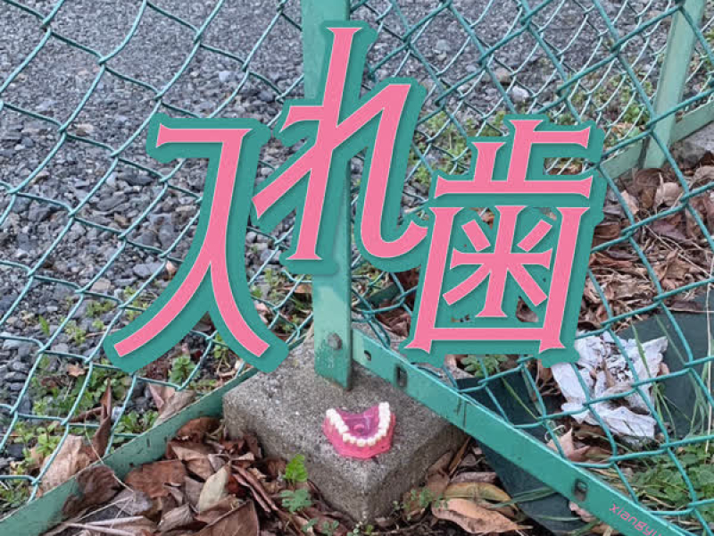 入れ歯 (Single)