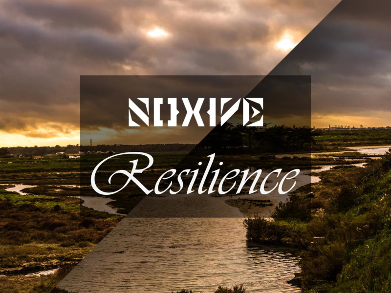 Resilience (Single)