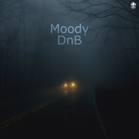 Moody DnB (Single)