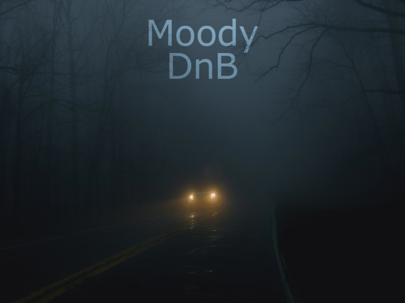 Moody DnB (Single)