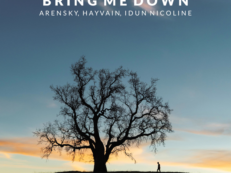 Bring Me Down (Single)