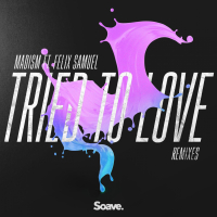 Tried To Love (Remixes) (Single)