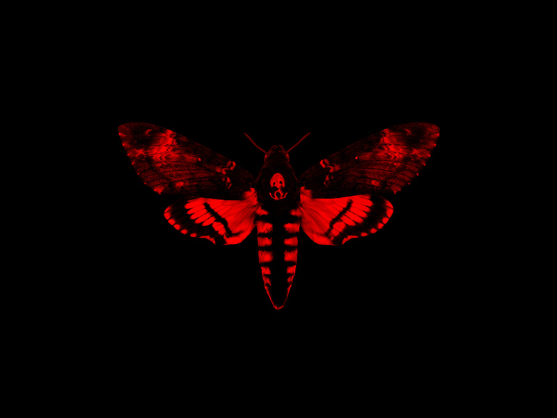 I Am Not A Human Being II (Deluxe)