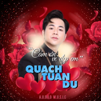 Cảm Ơn Vẻ Đẹp Em (Single)
