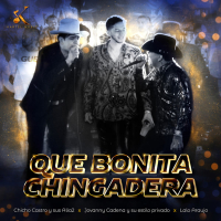 Que Bonita Chingadera (En Vivo) (Single)