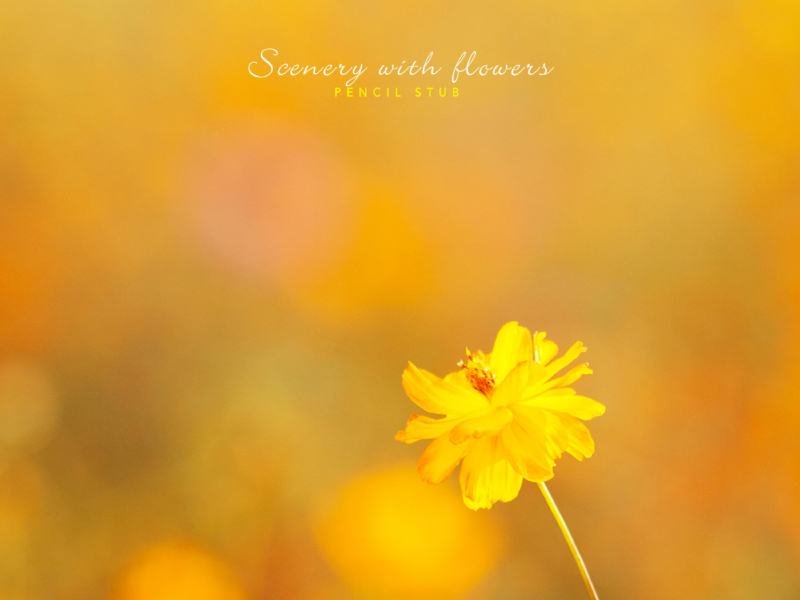 Scenery with flowers (Single)