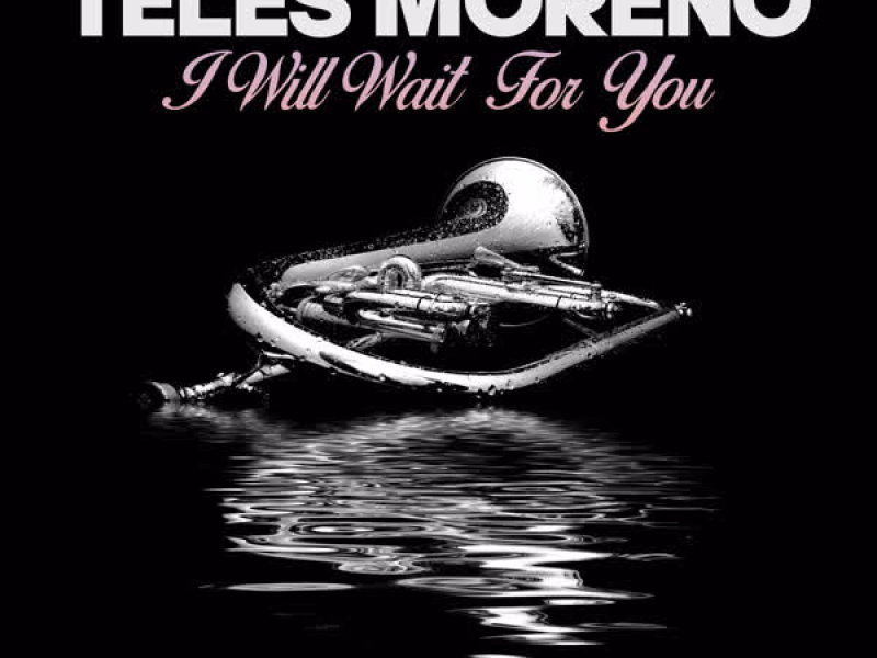 I Will Wait For You (Single)