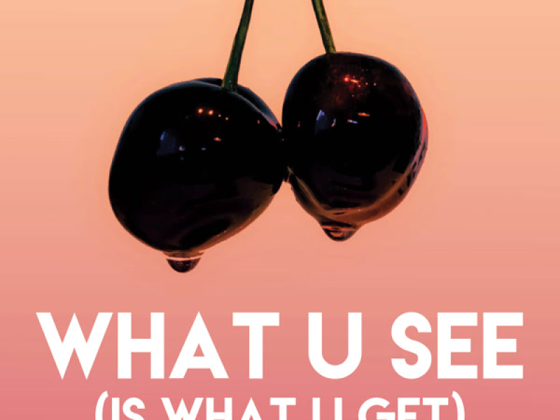 What U See (Is What U Get) (Single)