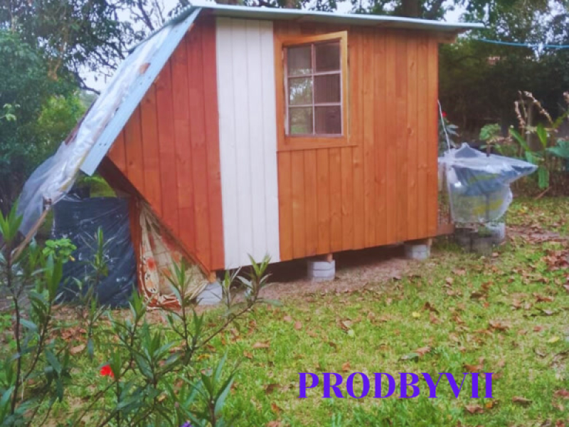 Pé de meia (Single)