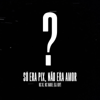 Só Era Pix, Não Era Amor (Single)