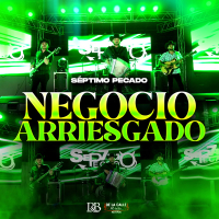 Negocio Arriesgado (Single)