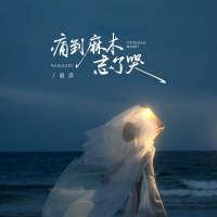 痛到麻木忘了哭 (Single)