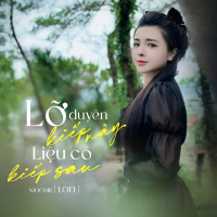 Lỡ Duyên Kiếp Này, Liệu Có Kiếp Sau (Lofi Mix) (Single)