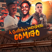 A Gatinha Mecheu Comigo (Single)