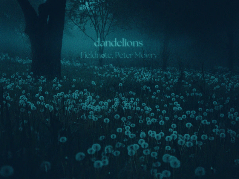 dandelions (Single)