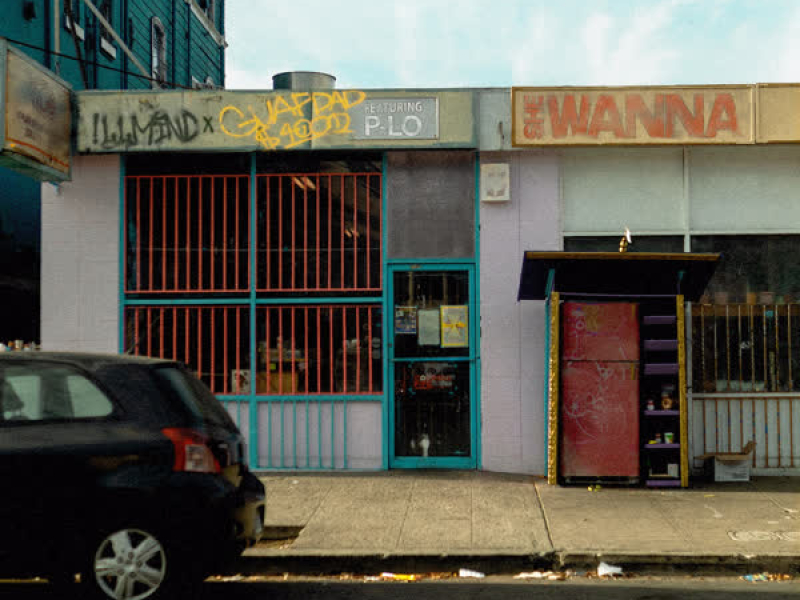 She Wanna (feat. P-Lo) (Single)