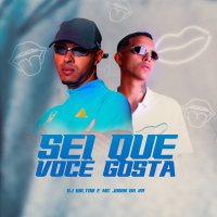 Sei Que Você Gosta (Single)