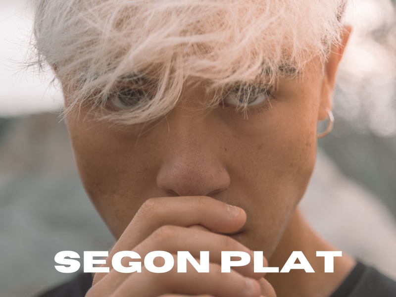 Segon plat (Single)