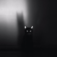 I Promise Myself (Single)