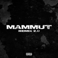 Mammut RMX 2.0 (Single)