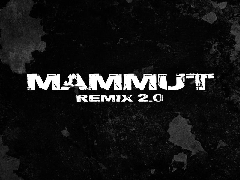 Mammut RMX 2.0 (Single)