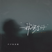我怀念的 (Single)