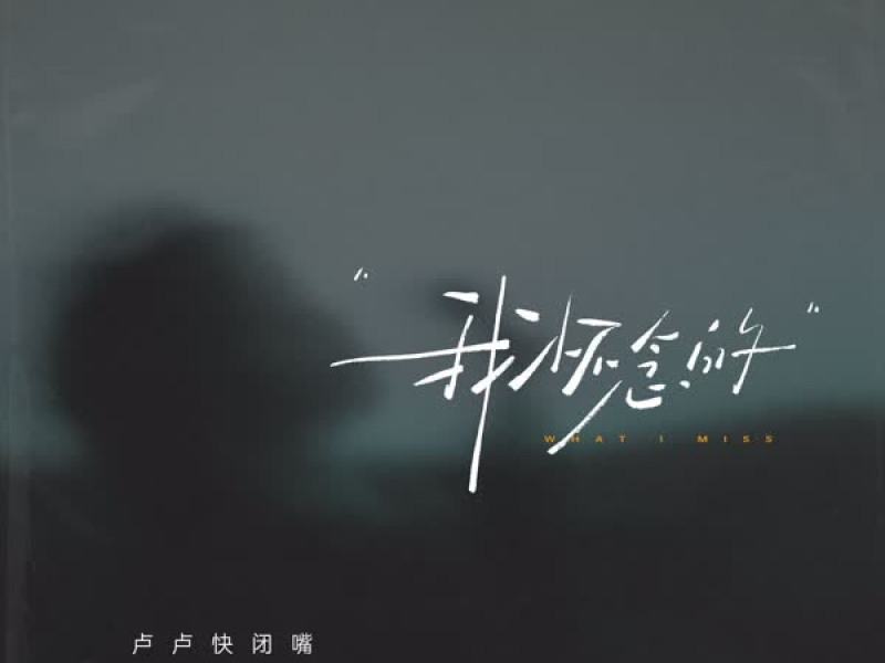 我怀念的 (Single)